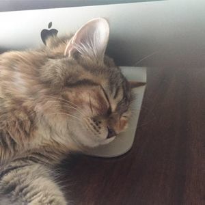 Meet your Posher, Matt